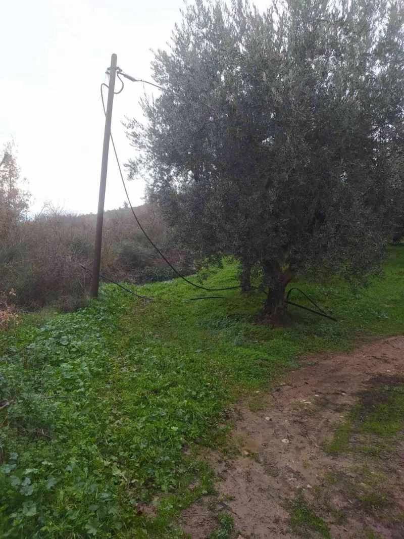 Telefon ve elektrik tellerini kesen hırsızlar jandarmaya yakalandı
