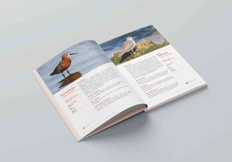 Aliağa Kuş Cenneti ve Güzelhisar Deltası kitaplaştı
