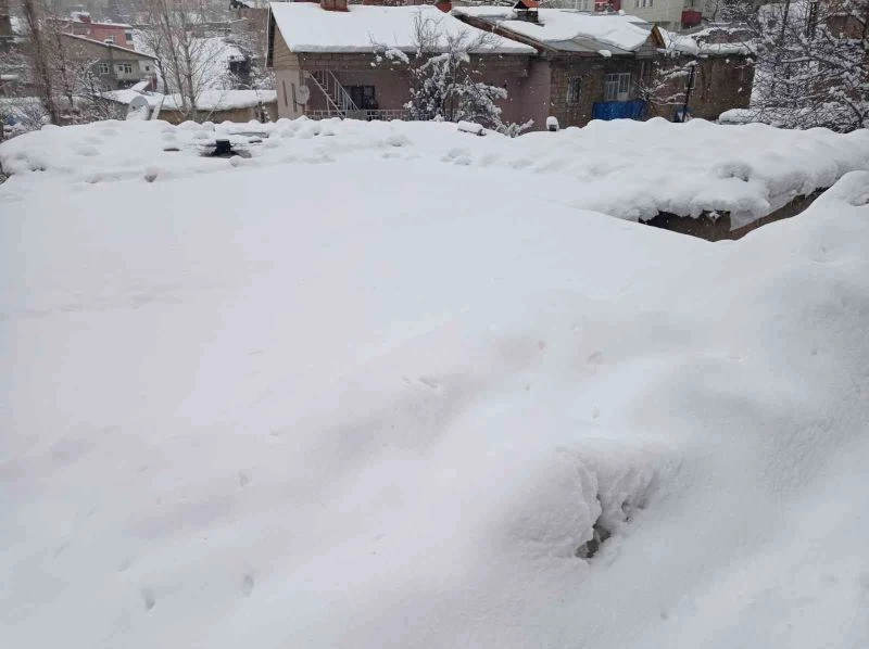 Hakkari’de 159 yerleşim yerinin yolu ulaşıma kapandı
