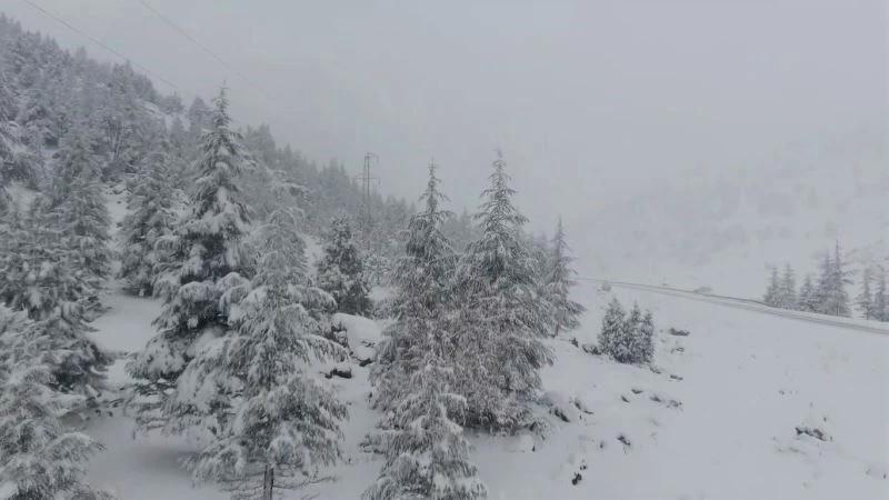 Beyaz gelinlikli orman drone ile görüntülendi
