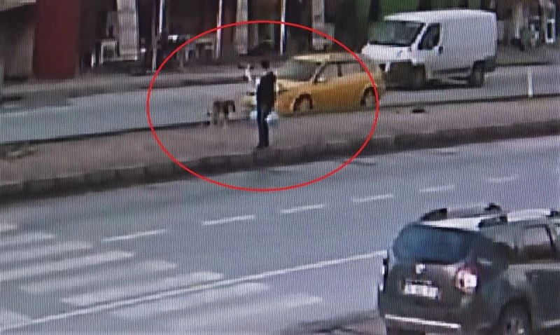 Taksi köpeğe böyle çarptı, o anları gören kadın şoka girdi
