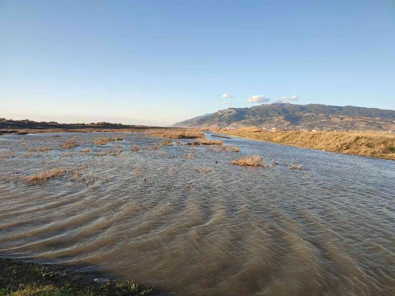 Milleyha Kuş Cenneti yağış sonrası göletler ile doldu
