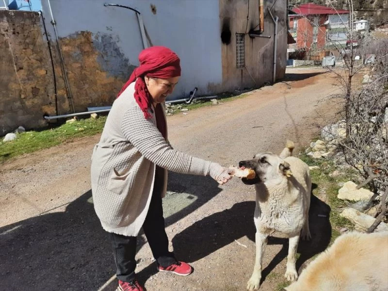 Anamur Hayvanları Koruma Derneği, hayırseverleri yardıma çağırdı