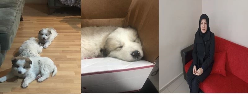 Kur’an Kursu öğreticisi Yılmaz’dan örnek davranış
