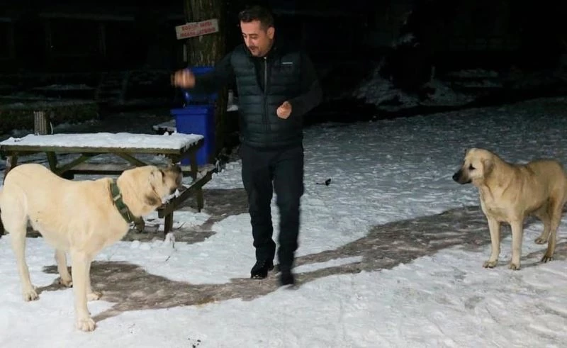 AK Gönüller sokak hayvanlarını unutmuyor
