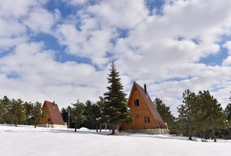 Yalnız Ardıç Mesire Alanında kartpostallık görüntüler oluştu
