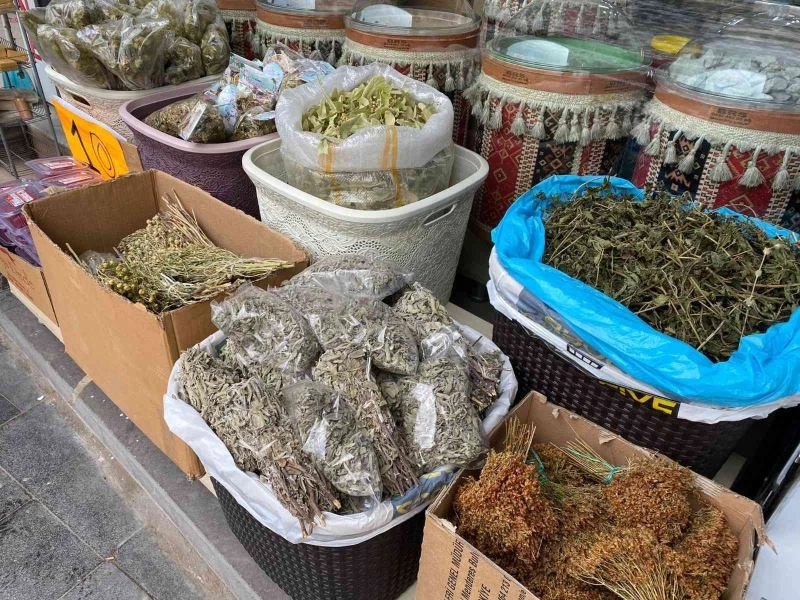 Soğuk havanın ’ilacı’ bitki çayları
