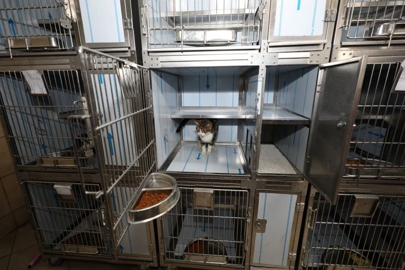 Gaziemir’de kafesler artık daha konforlu
