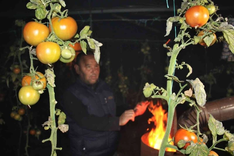 Mersin’de seralarda sobalar yakıldı, zirai don nöbeti başladı
