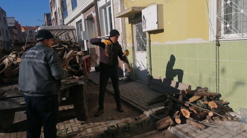 Budanan ağaç dalları ihtiyaç sahibi ailelere yakacak oldu
