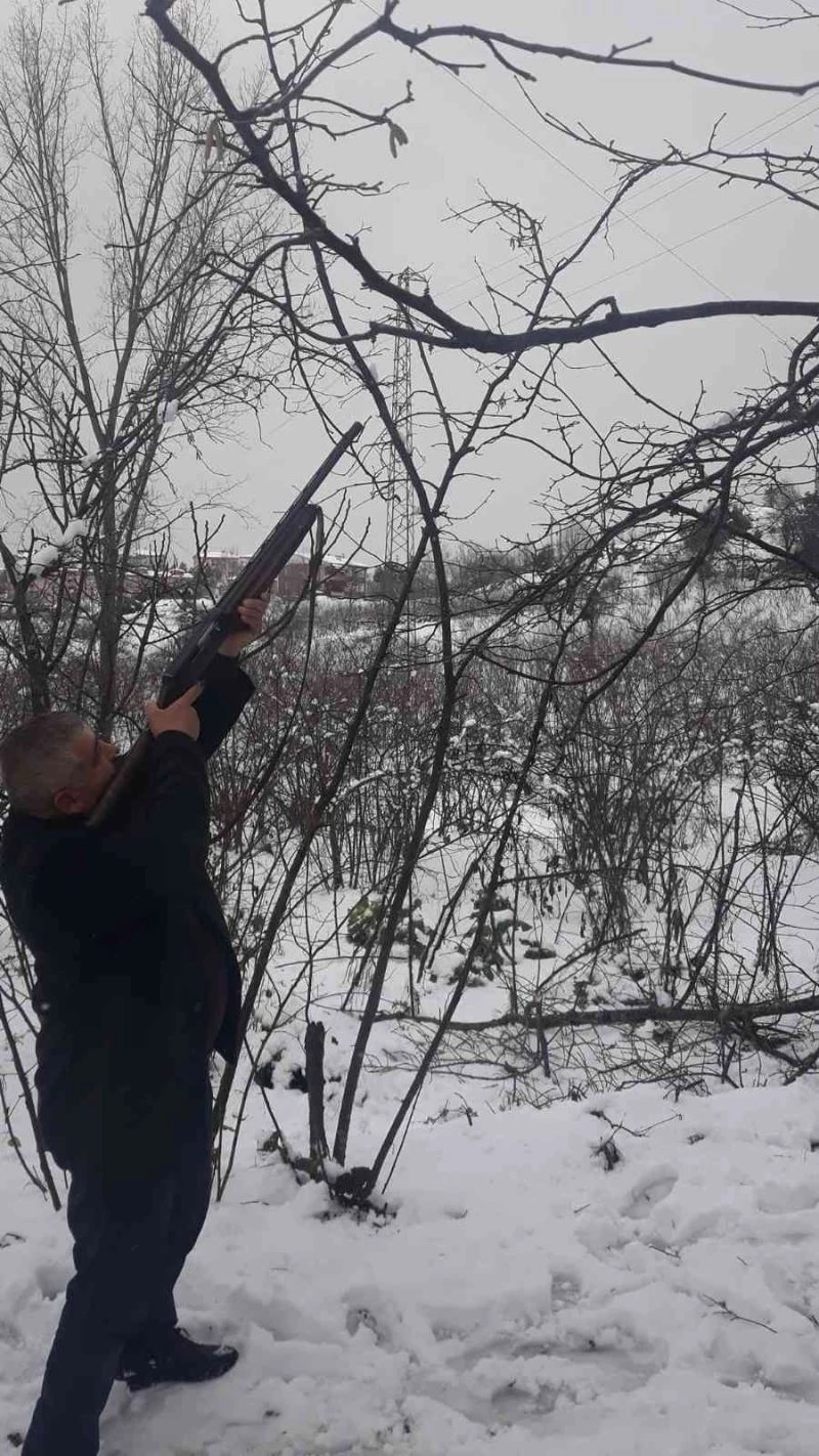 Köy muhtarı, tellere zarar veren dalları tüfekle tek atışla düşürdü
