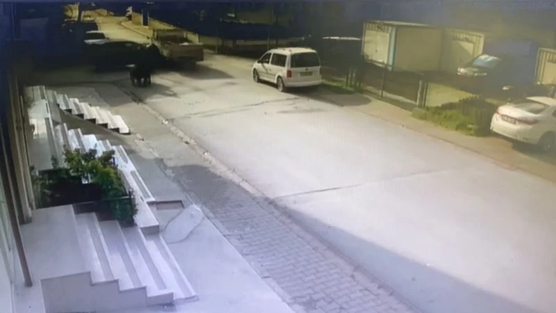 Ümraniye’de aşırı hız dehşeti: Kamyoneti önüne kattı, sürücü araçtan atladı
