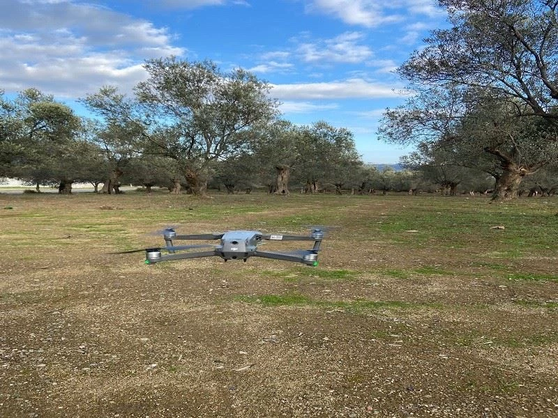 Zeytinliklere 7 gün 24 saat drone koruması
