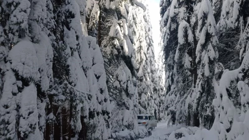Gördükleri manzara karşısında şaşıp kaldılar

