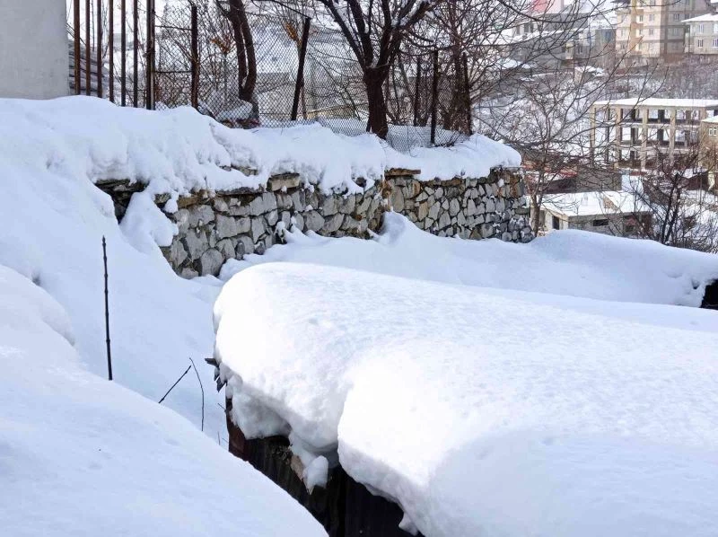 Hakkari’de 196 yerleşim yerinin yolu ulaşıma kapandı
