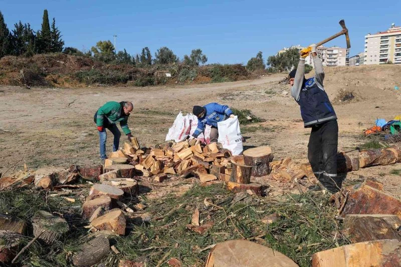 Buca’da budanan dallar ihtiyaç sahibi evleri ısıtıyor
