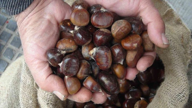 Tarihi Sur ilçesini kestane kokusu sardı, satıcıların yüzü güldü
