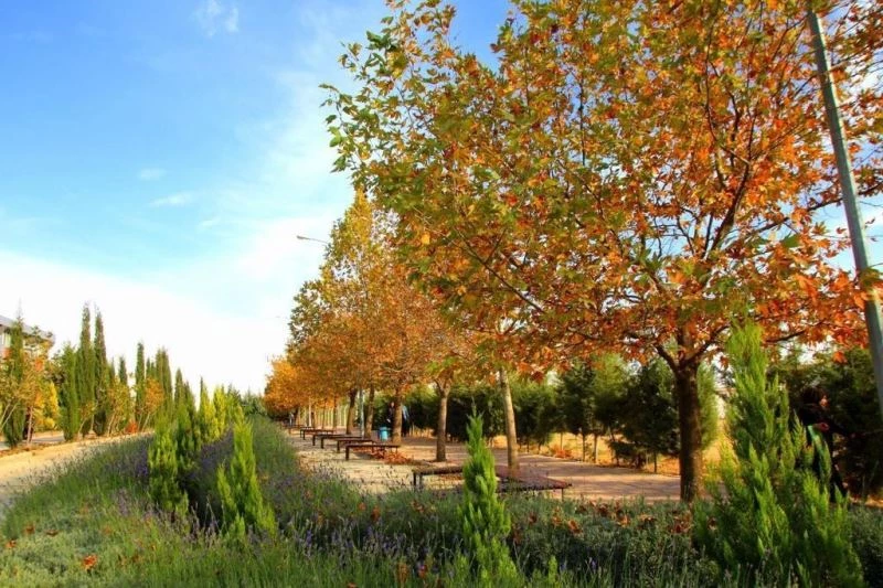 7 Aralık Üniversitesi Greenmetric Dünya Üniversiteleri sıralamasında
