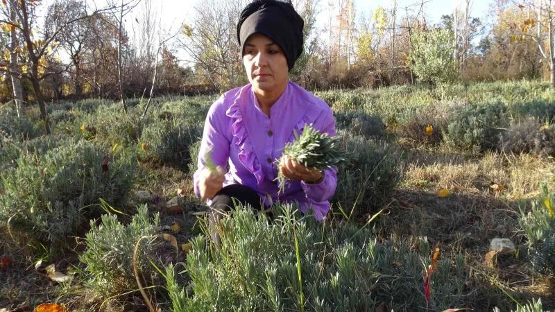 Karaman’da 8 çocuk annesi azmiyle ilçenin gururu oldu
