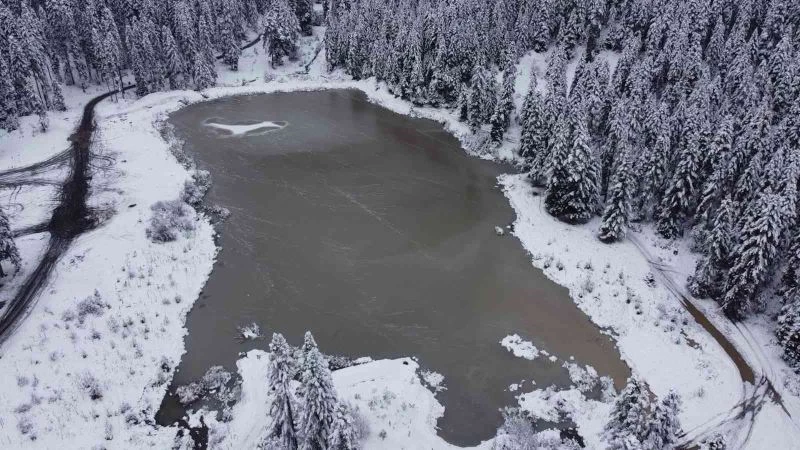 Orman manzaralı Sarıçiçek Göleti buz tuttu
