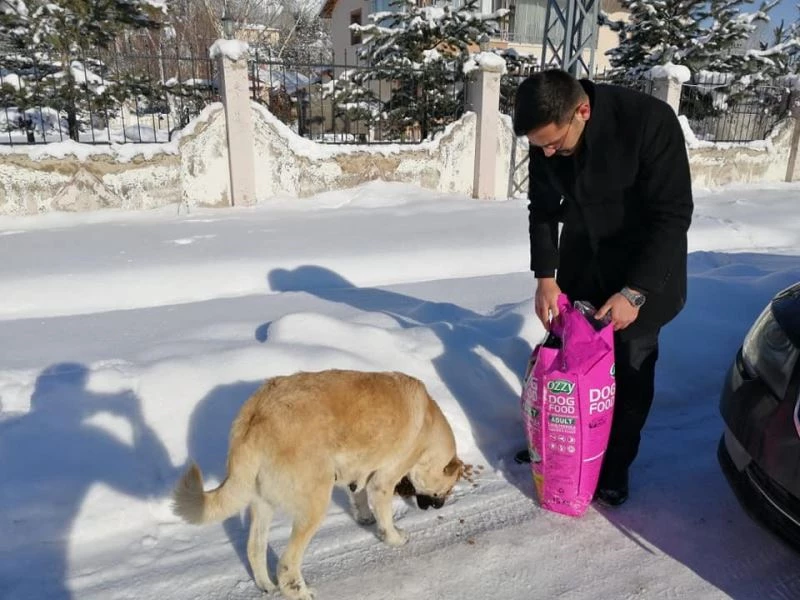 İmranlı’da sokak hayvanları için yem bırakıldı
