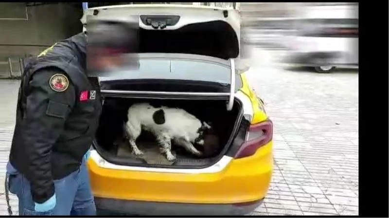 Otomobilde uyuşturucuyu sakladıkları yer şaşırttı
