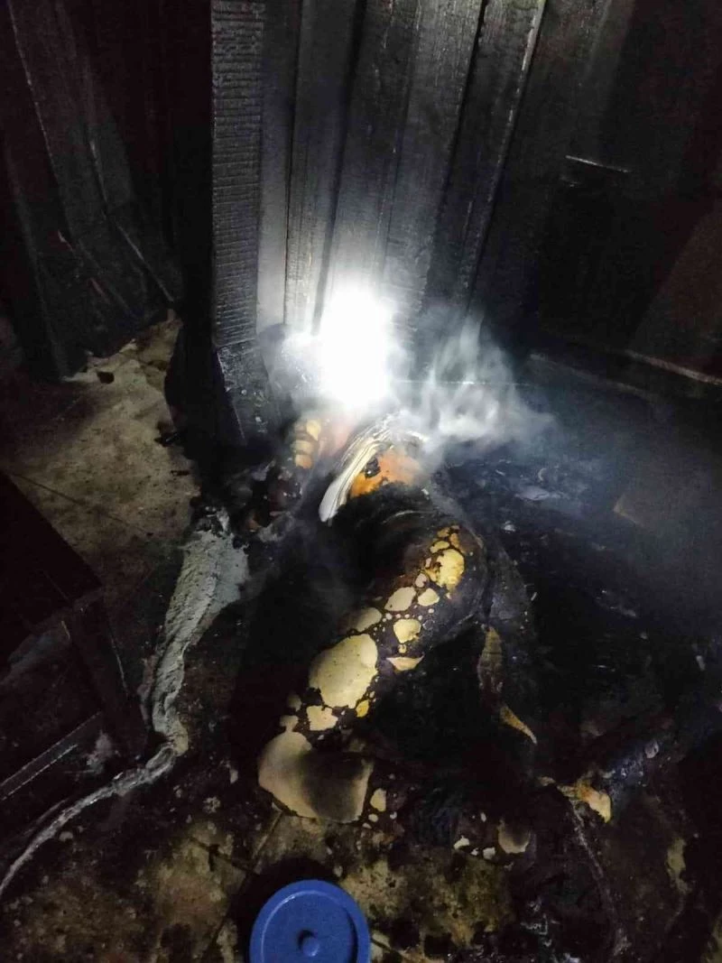 Marangoz dükkanında tinerle sobayı yakmaya çalışan çocuk can verdi
