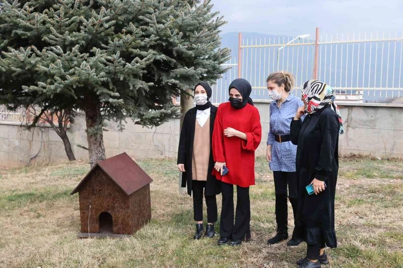 Üniversite öğrencisi istedi, onların da bir yuvası oldu
