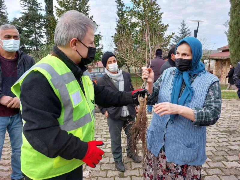 100. kuruluş yılında 100 Bin fidan dildi.