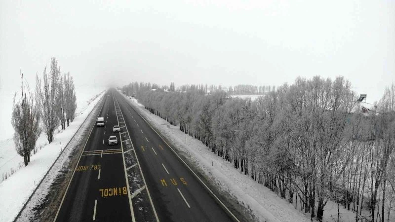 Muş’ta Sibirya soğukları
