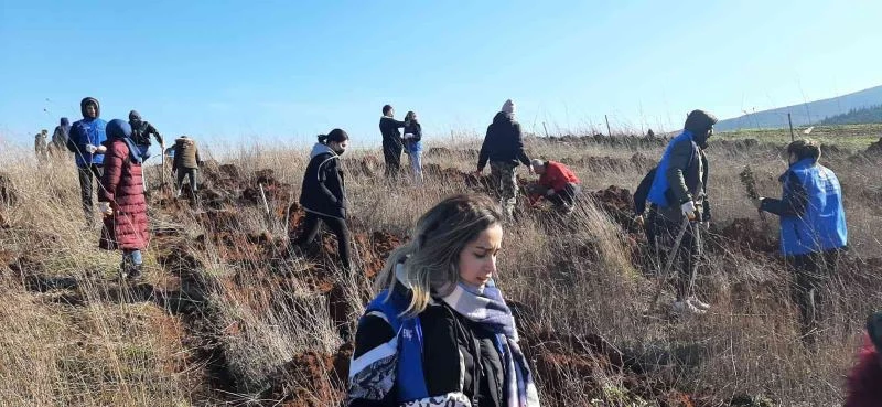Manyaslı gençler meşe fidanını ektiler
