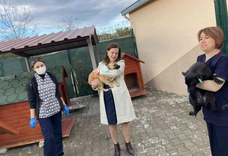 Başkan Çalkaya’dan barınak denetimi
