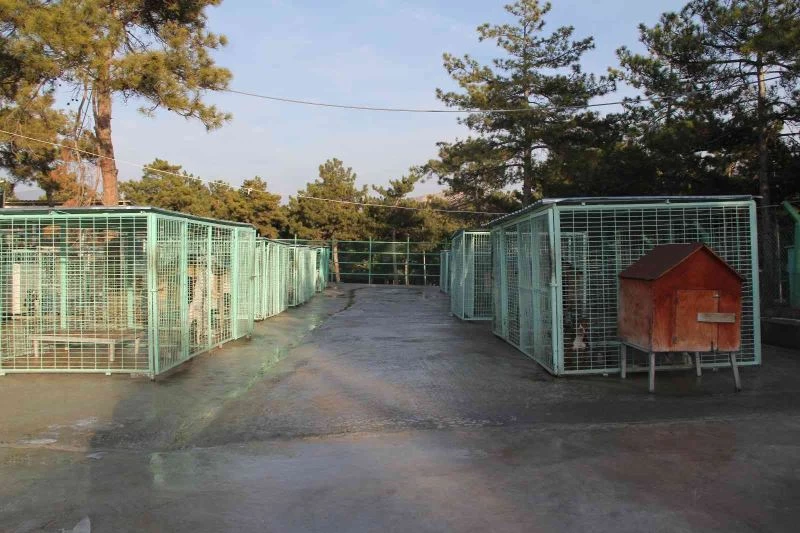 Yasaklı hayvanlar bu merkezdeki özel bölümde rehabilite ediliyor
