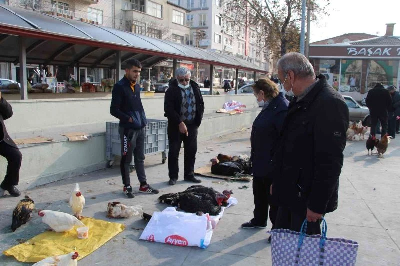 Hindi fiyatları 500 lira olunca vatandaş sorup geçiyor
