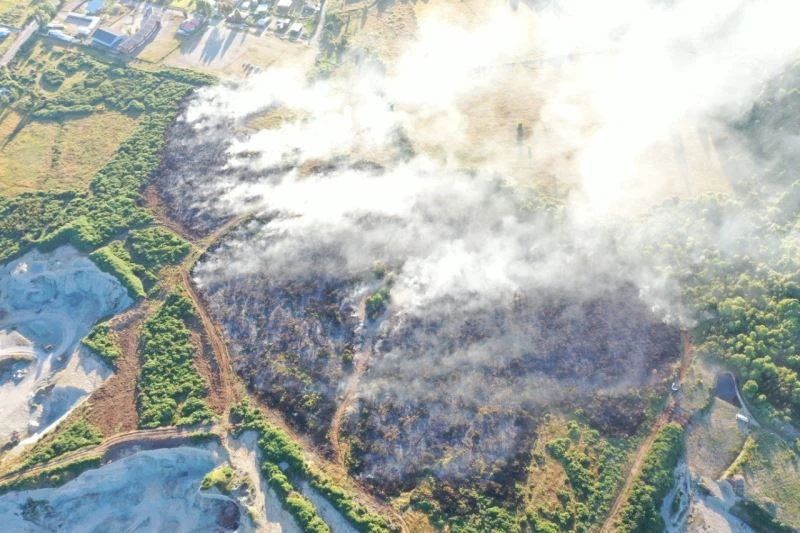 Şili’de orman yangınları kontrol altına alınamıyor
