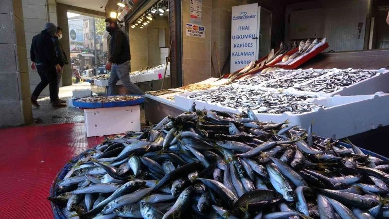 Hamsi azaldı, fiyat yükselişe geçti
