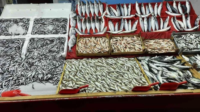 Fırtına balık tezgahlarını etkiledi
