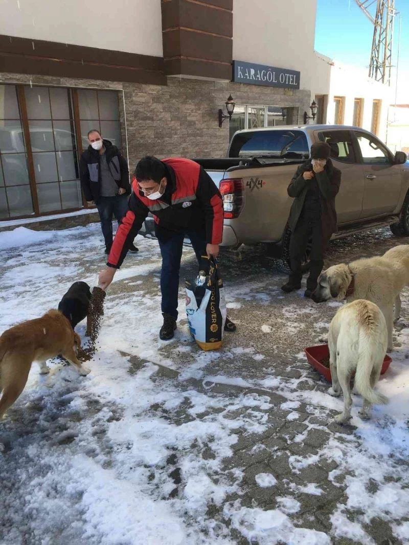 Yaylalarda aç kalan hayvanlar unutulmadı
