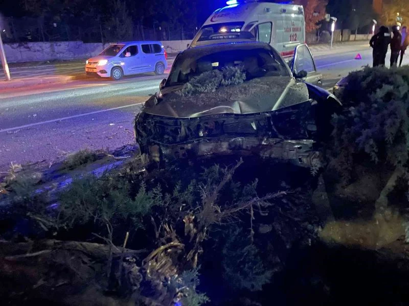 Köpeğe çarpmamak için direksiyonu kırdı, ağaca çarptı: 1 yaralı
