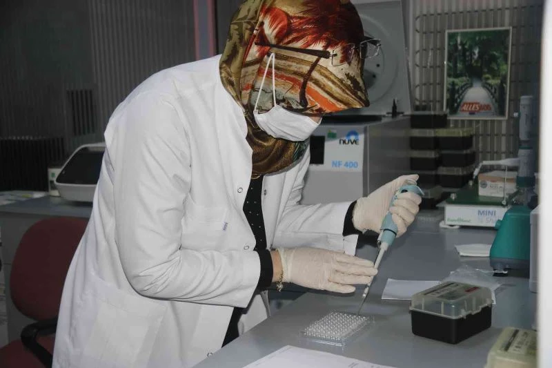 Dicle Üniversitesi pandemiye rağmen yılda 25 kemik iliği nakli gerçekleştirdi
