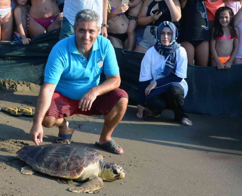 Caretta carettaların neslinin devamı için seferber oldular
