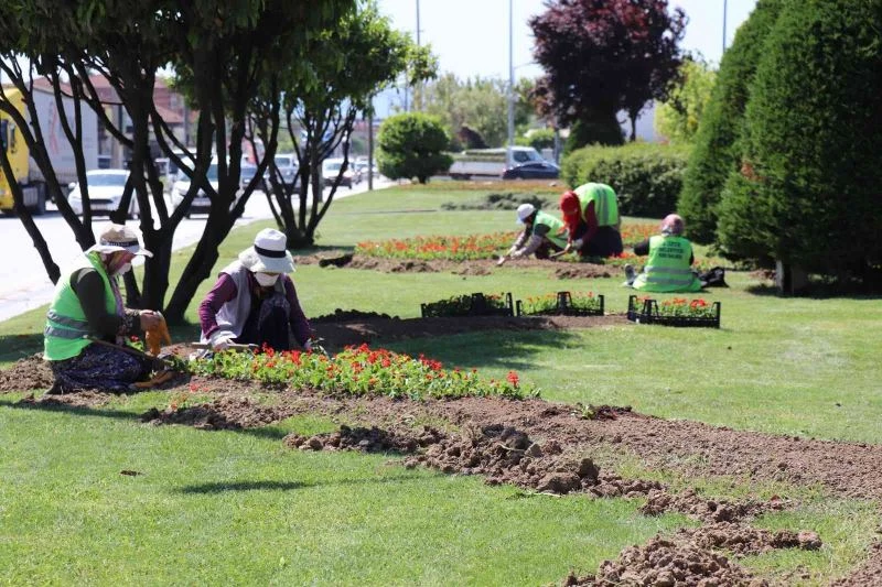 Bin 920 ağaç, 443 bin çiçek toprakla buluştu
