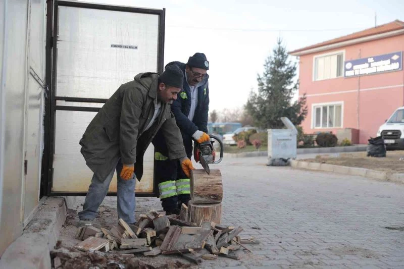 Budanan ağaçlar ihtiyaç sahiplerine yakacak oluyor
