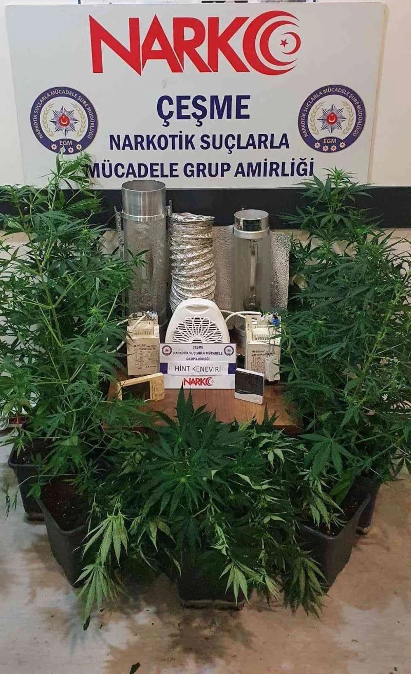 Özel düzenekle kenevir yetiştirilen eve operasyon
