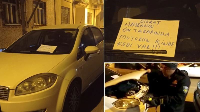 Aracın motoruna sıkışan kedi itfaiye ekipleri tarafından kurtarıldı
