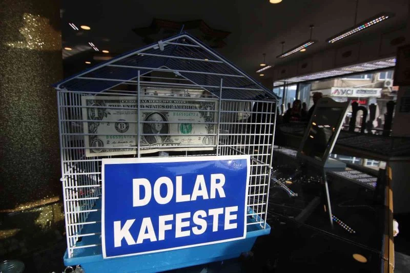Doları kafese koydu, alışverişlerinde kuru 8 liraya sabitledi
