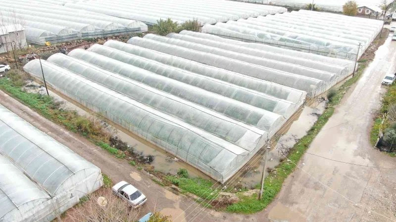 Metrekareye 180 kilogram yağış düştü, seraları su bastı
