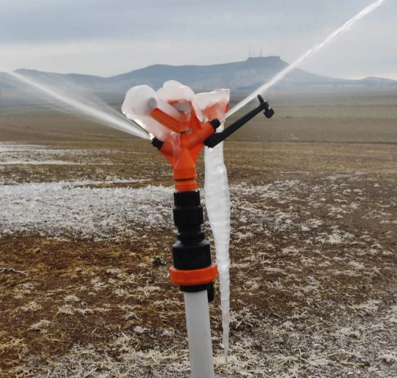Mardin’de sulanan araziler buz tuttu
