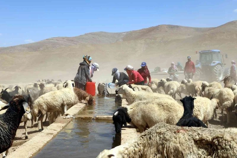 Van Büyükşehir Belediyesi bir yılda kırsal kalkınmaya 40 milyon lira harcadı
