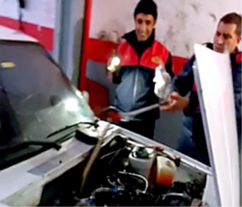 Otomobil servisinde yılan paniği
